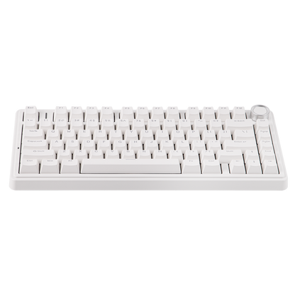 AULA F75 Wired Version