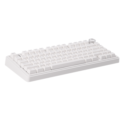 AULA F75 Wired Version